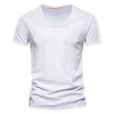 BRUNEL PARIS | T-SHIRT COL V EN COTON POUR HOMME