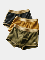 BRUNEL PARIS | BOXER EN COTON BIOLOGIQUE POUR HOMME (lot de 3)
